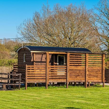 Hillside View Shepherds Hut - Ockeridge Rural Retreats Little Witley 외부 사진