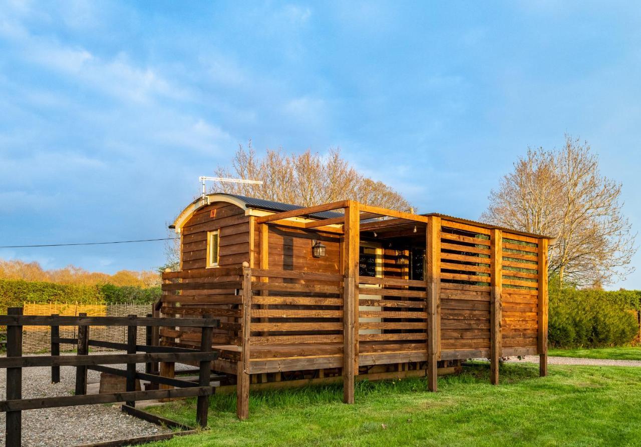 Hillside View Shepherds Hut - Ockeridge Rural Retreats Little Witley 외부 사진